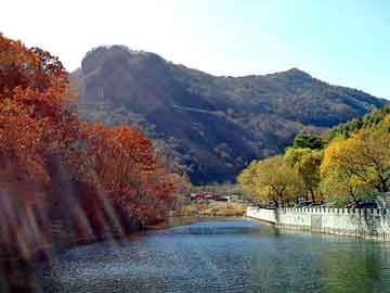 管家婆黑白马报图库，地盾宝